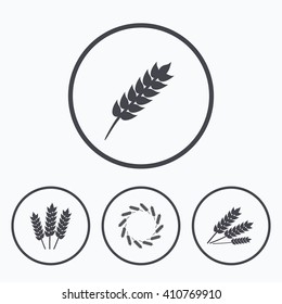 Agricultural icons. Gluten free or No gluten signs. Wreath of Wheat corn symbol. Icons in circles.