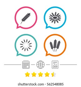 Agricultural icons. Gluten free or No gluten signs. Wreath of Wheat corn symbol. Calendar, internet globe and report linear icons. Star vote ranking. Vector