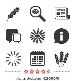 Agricultural icons. Gluten free or No gluten signs. Wreath of Wheat corn symbol. Newspaper, information and calendar icons. Investigate magnifier, chat symbol. Vector