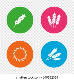 Agricultural icons. Gluten free or No gluten signs. Wreath of Wheat corn symbol. Round buttons on transparent background. Vector