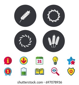 Agricultural icons. Gluten free or No gluten signs. Wreath of Wheat corn symbol. Calendar, Information and Download signs. Stars, Award and Book icons. Light bulb, Shield and Search. Vector