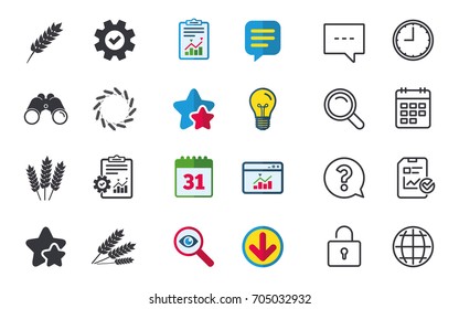Agricultural icons. Gluten free or No gluten signs. Wreath of Wheat corn symbol. Chat, Report and Calendar signs. Stars, Statistics and Download icons. Question, Clock and Globe. Vector