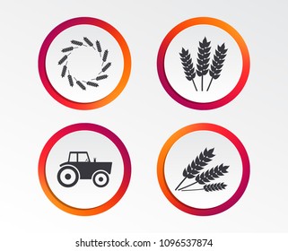 Agricultural icons. Wheat corn or Gluten free signs symbols. Tractor machinery. Infographic design buttons. Circle templates. Vector