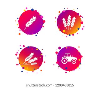 Agricultural icons. Wheat corn or Gluten free signs symbols. Tractor machinery. Gradient circle buttons with icons. Random dots design. Vector