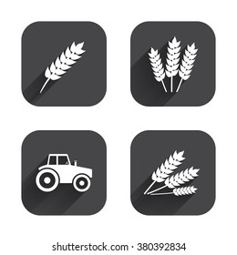 Agricultural icons. Wheat corn or Gluten free signs symbols. Tractor machinery. Square flat buttons with long shadow.