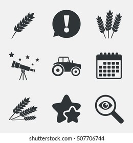 Agricultural icons. Wheat corn or Gluten free.