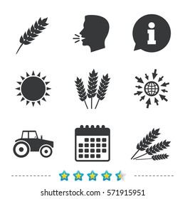 Agricultural icons. Wheat corn or Gluten free signs symbols. Tractor machinery. Information, go to web and calendar icons. Sun and loud speak symbol. Vector