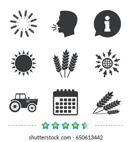 Agricultural icons. Wheat corn or Gluten free signs symbols. Tractor machinery. Information, go to web and calendar icons. Sun and loud speak symbol. Vector