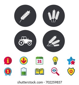 Agricultural icons. Wheat corn or Gluten free signs symbols. Tractor machinery. Calendar, Information and Download signs. Stars, Award and Book icons. Light bulb, Shield and Search. Vector