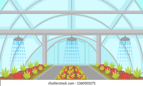 Agricultural Irrigation System Vector Illustration. Automatic Sprinkler Watering Greenhouse Plants. Modern Horticulture Cultivation, Hydroponics Technology. Berry And Vegetable Plantation In Hothouse