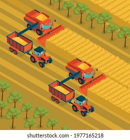 Agricultural isometric background with combine and tractor harvesting crop in grain fields vector illustration