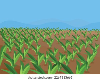 Agricultural Land, Agriculture concept. rural landscape background. Soil cultivation process. Farm life. Сountryside landscape. Farmland vector illustration.