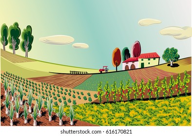 agricultural landscape, cultivated with various vegetables and grains.