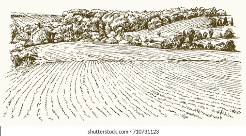 Paisagem agrícola. Ilustração desenhada à mão.