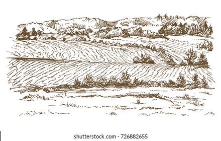 Agricultural landscape. Hand drawn illustration.