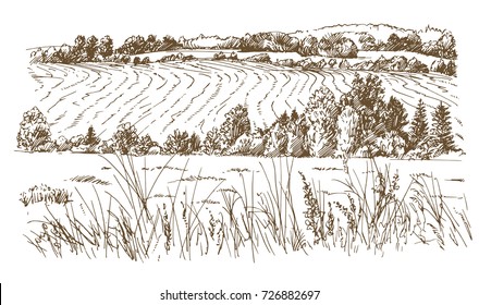 Agricultural landscape. Hand drawn illustration.