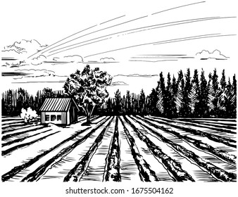 Agricultural landscape with house hand drawn vector sketch