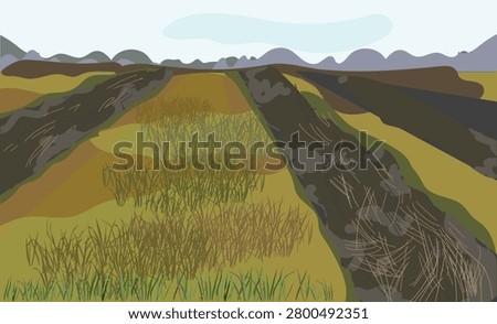 Agricultural landscape with peat field furrows