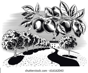 agricultural landscape, planted with fruit trees with ripe apples.