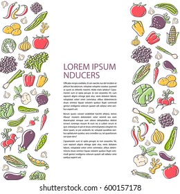 Agricultural leaflet template with hand drawn vegetables, flat style vector. Various organic product for healthy food. Place for text