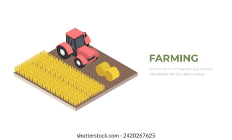 Agricultural machine isometric background with grain and harvest symbols vector illustration. Tractor with hay, farming concept.