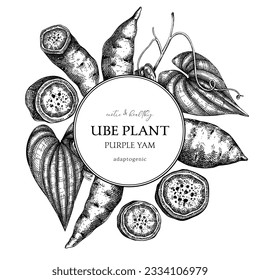 Agricultural plant, wreath design. Ube, Purple yam, root vegetable, vegetarian food background. Packaging, label, print template for plant based product. Vector illustration in vintage style