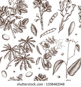 Agricultural plants background. Gluten free food seamless pattern. Vector vegetables drawing in engraved style. Hand drawn healthy products design. Great for packaging, menu, label. High detailed.