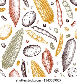 Agricultural plants background. Gluten free food seamless pattern. Vector vegetables beans, roots, seeds drawing in engraved style. Great for packaging, menu, label. High detailed.