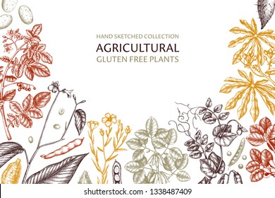 Agricultural plants design. Hand drawn botanical frame. Vegetarian and gluten free food illustration. Farm market products. Great for packaging, menu, label. Vector template. Outlines. 