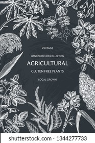 Agricultural plants design. Hand drawn botanical frame. Vegetarian and gluten free food illustration. Farm market products. Great for packaging, menu, label. Vector template. Outlines on chalkboard.