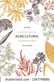 Agricultural plants design. Hand drawn botanical frame. Vegetarian and gluten free food illustration. Farm market products. Great for packaging, menu, label. Vector template. Line art.