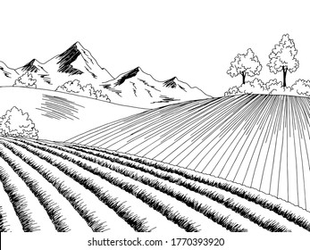 Agricultural plowed field graphic black white landscape sketch illustration vector