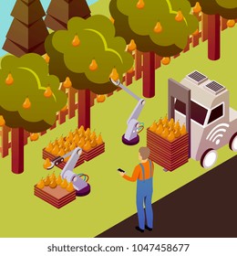 Agricultural robots isometric composition with outdoor scenery and pear trees with electronically controlled manipulators collecting fruits vector illustration