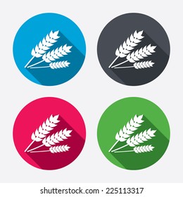 Agricultural sign icon. Gluten free or No gluten symbol. Circle buttons with long shadow. 4 icons set. Vector