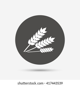 Agricultural sign icon. Gluten free or No gluten symbol. Gray circle button with icon. Vector