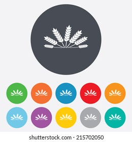 Agricultural sign icon. Wheat corn. Gluten free or No gluten symbol. Round colourful 11 buttons. Vector