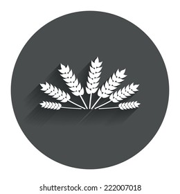 Agricultural sign icon. Wheat corn. Gluten free or No gluten symbol. Circle flat button with shadow. Modern UI website navigation. Vector