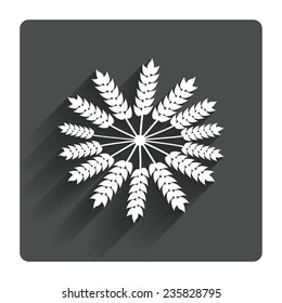 Agricultural sign icon. Wreath of Wheat corn. Gluten free or No gluten symbol. Gray flat square button with shadow. Modern UI website navigation. Vector