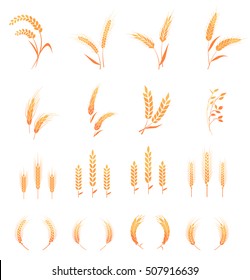 Agricultural symbols. Concept for organic products label, harvest and farming, grain, bakery, healthy food.  Whole grain, natural, organic background for bakery package, bread products.