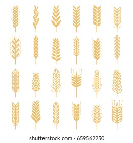 Agricultural vector icons set. Nature pictures of wheat