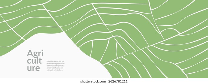 Agricultural vineyard field and rice crops with green geometric pattern. Aerial view of summer landscape with tea, wheat. Sustainable brochure, banner, advertising template. Abstract vector design