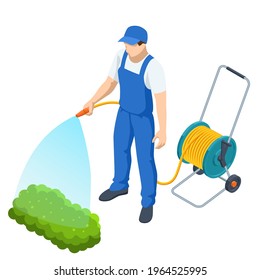 Agricultural work. Isometric farmer watering a vegetable garden. Gardener with watering hose and sprayer water on the vegetable