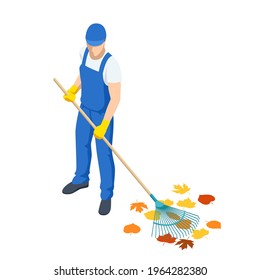 Agricultural work. Isometric man cleaning fallen autumn leaves, A gardener collects and cleans fallen leaves in the fall with a rake isolated on white