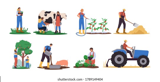 Agricultural workers gathering harvest, planting crops, feeding animals, working on tractor. Farmer working in field