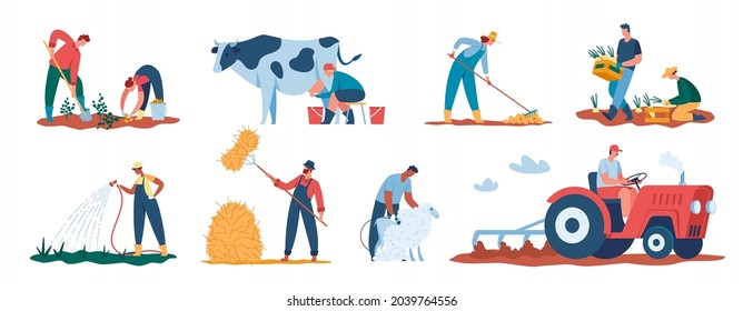 Agricultural workers harvesting plants, farmers working in field. Farmer watering crops, shearing sheep, tilling soil with tractor vector set. Character milking cow, collecting potatoes