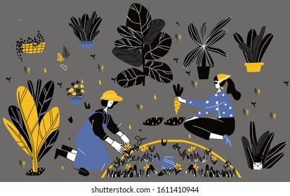 Agricultural workers planting and gathering crops.ladies at greenhouse or garden with watering can taking care of houseplants growing in pots or planters. Modern vector illustration in flat cart