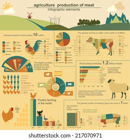 Agriculture, animal husbandry infographics, Vector illustrationstry info graphics. Vector illustration