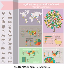 Agriculture, animal husbandry infographics, Vector illustrationstry info graphics. Vector illustration