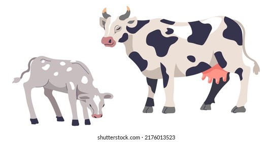 Agriculture and animals breeding, isolated domestic cattle, livestock on a farm. Cow and small calf on pasture. Production of beef and dairy food ingredients for markets. Vector in flat style