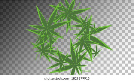 Antecedentes agrícolas. Patrón Hashish de Ganja. Fondo de Marihuana Blanca.  Vector médico. Silhouette Herbal Transparente.  Resumen de antecedentes agrícolas. Ilustración Amarilla Medicinal. 